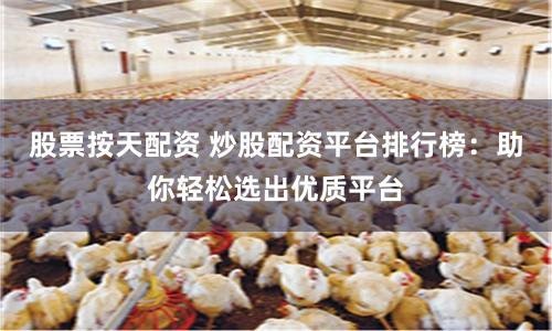 股票按天配资 炒股配资平台排行榜:助你轻松选出优质平台