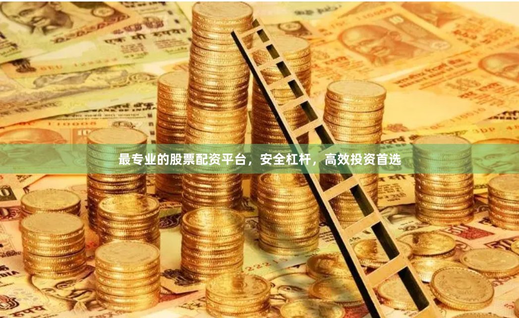 最专业的股票配资平台，安全杠杆，高效投资首选